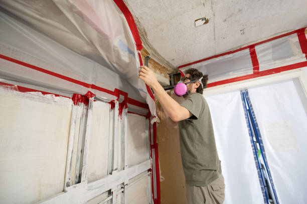 Mold Odor Removal Services in Oakbrook, KY