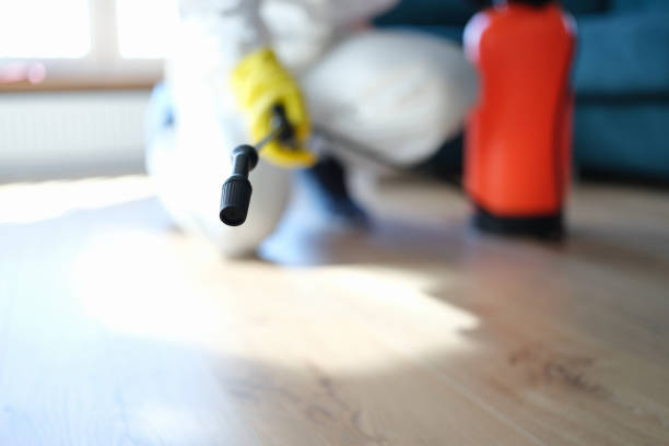 Oakbrook, KY Mold Removal Company