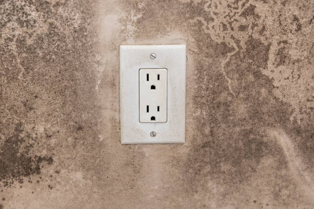Best Real Estate Mold Inspection  in Oakbrook, KY